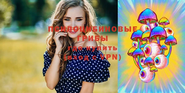 спайс Арсеньев