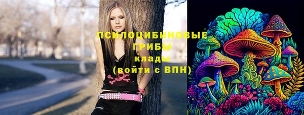 спайс Арсеньев