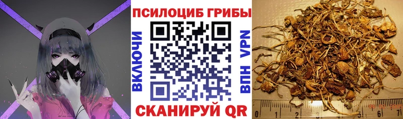 Псилоцибиновые грибы Magic Shrooms  даркнет сайт  нарко площадка официальный сайт  Саки 