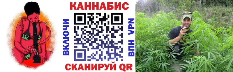 Шишки марихуана сатива KRAKEN как зайти Саки